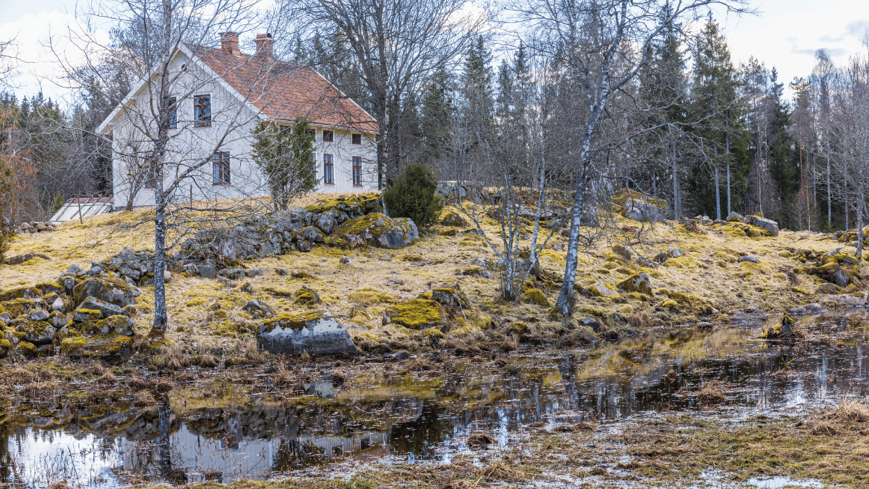Stavba domu na mokradi - čo potrebujete vedieť?