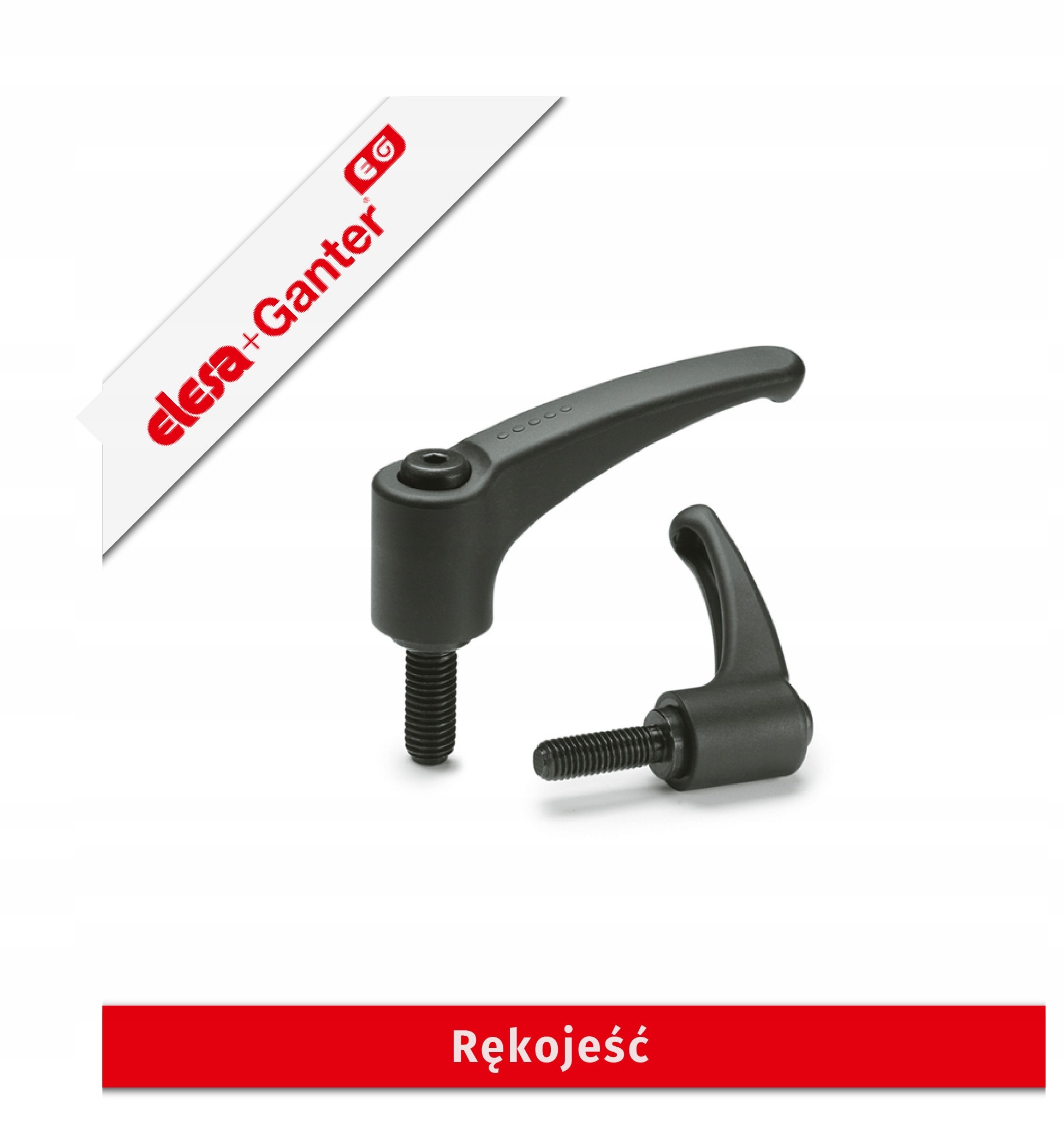 Ergostyle Erz.78 P-M8X80 1 P-P-PC.