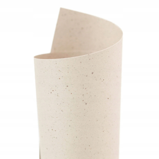 Papier A4 DCP 120G/250 Slonová kosť.