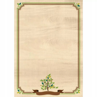 DIPLOM NATURE 170G/M2 BAL-25KS