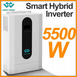 Digital Control Smart Hybrid Inverter 5500W 230VAC