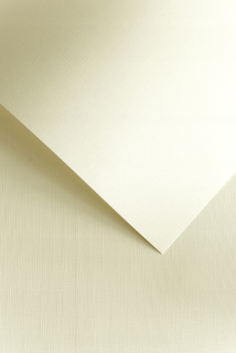 Argo Dekoratívne kartón A3 250G Cream Canvas