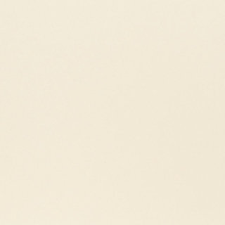 Papier Xero Dolphin A4 80G (C) A4 500 listov