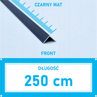 Schoo -Sistant Cadless Plastic 30x3mm 1 MB Inox