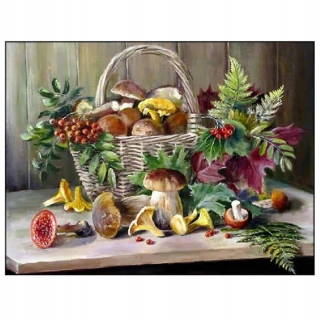 Diamond Painting Girl Portrét Cross Stitch Kits R
