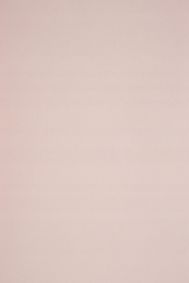 Papier Xero A4 80g 500 listov biely kartón 5 Ryz