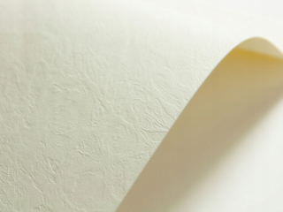 Dekoratívny papier A5 ECRU Leather 246G 100 Ark.