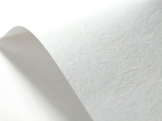Obchodný dekoratívny papier 246g biela koža 100A4