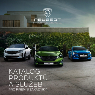 PEUGEOT MODELS PAŽNOSŤ 2023 408 308