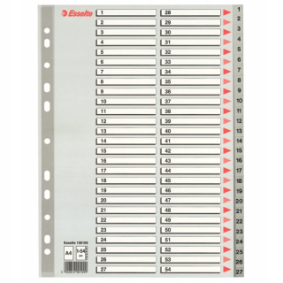 Esselte 1-54 pp sivé rozpery