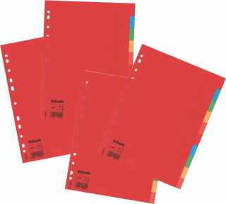 Parlament s kartami Binder Mylar A4 Esselte 40