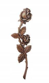 Rose na pamätníku 29541/21 Caggiati