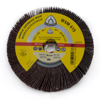 WSM615 P80 125 mm M14 Angle Lane