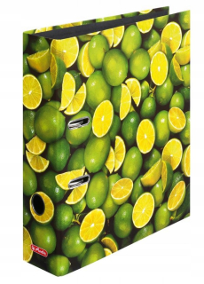 Herlitz A4/80 Lemon Binder