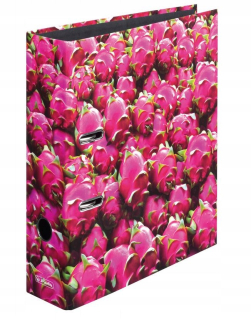 Herlitz A4/80 PITAJA BINDER