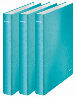 Segregátor Leitz A4 40 mm až 230 kariet 2 Rings x3