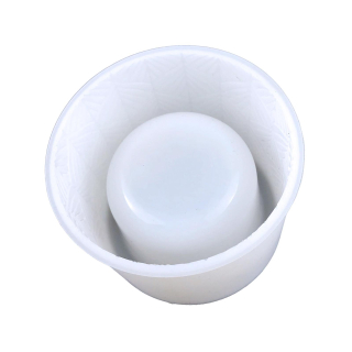 SUCULENTY POT C