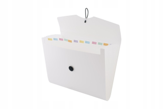 Binder Esselte Vivida A4 42 mm 2R modrá x2